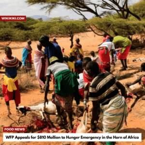 WFP Appeals for $810 Million to Hunger Emergency in the Horn of Africa