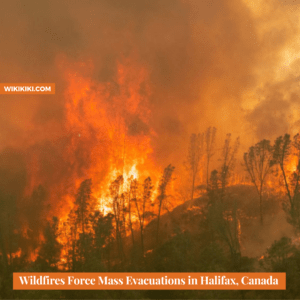 Wildfire Forces 16,000 People Evacuate in Halifax, Canada