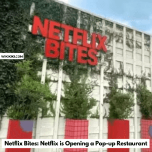 Netflix Bites