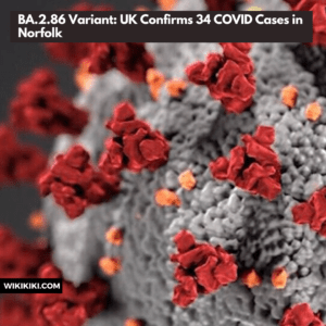 BA.2.86 Variant: UK Confirms 34 COVID Cases in Norfolk
