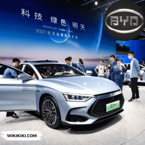 BYD Sold 1.6 Million Cars Last Year, More than Tesla